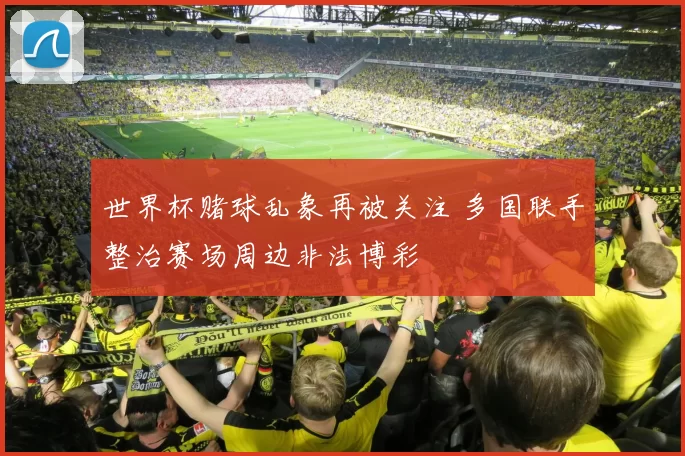 世界杯赌球乱象再被关注 多国联手整治赛场周边非法博彩